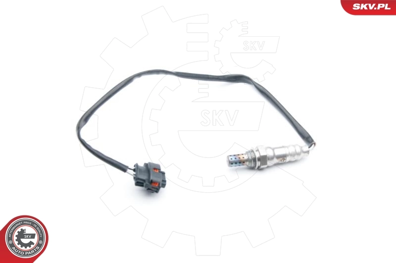 Oxygen Sensor